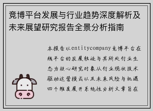 竞博平台发展与行业趋势深度解析及未来展望研究报告全景分析指南 竞博平台发展与行业趋势深度解析及未来展望研究报告全景分析指南